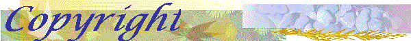 Copyright