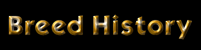 History