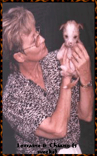 Lorraine & Chiang