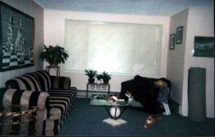 Picture of my new living room