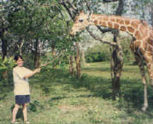 This is me feeding a giraffe!!!