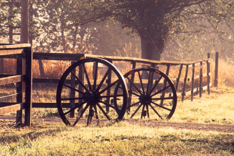 wagon wheels