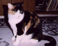 Matilda