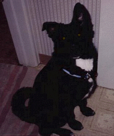 Max