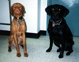 Rudy and Mabel