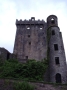 Previous image