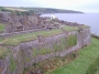 Previous image