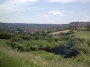 Next image