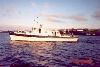 Nfld3.jpg (9393 bytes)