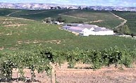 Seaview vineyard and winery