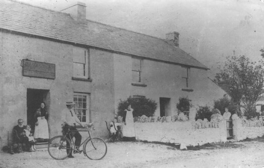 Clover Hill, Dinas Cross, Pembrokeshire
