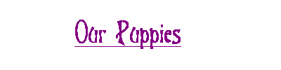 puppies.gif - 1836 Bytes