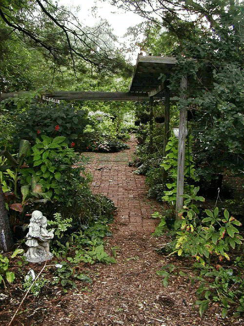 patio2