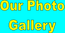 gallery.gif (2688 bytes)