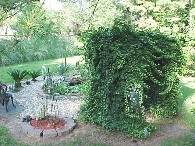 arbor2007.jpg