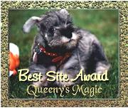 Best Site Award