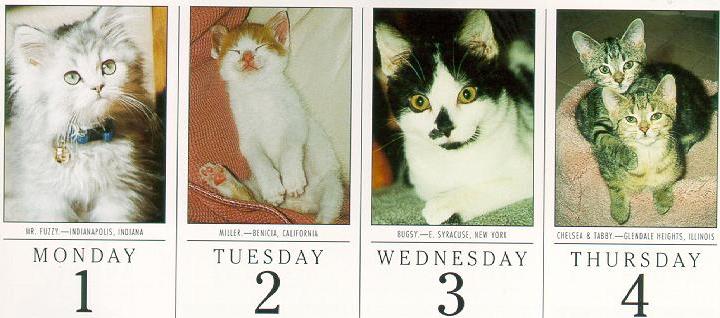 Posed as the June 1st Kitty in 1998