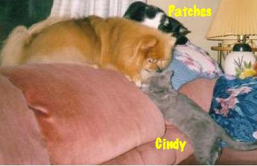 Walter, Patches and Cindy