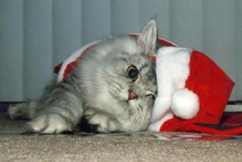 AM I cute!!!