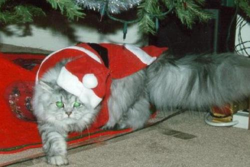 I know who has been naughty and who has been nice...
