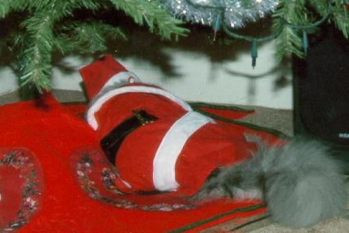 Nap time for Santa Claws.