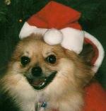 Sweetie's Christmas Album