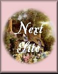 Next Garden House site