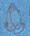 Praying Hands