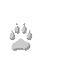 paw email