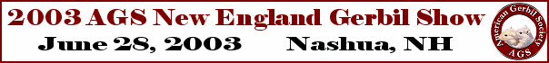New England
Show Banner