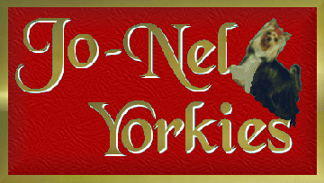 Jo-Nel Yorkshire Terriers