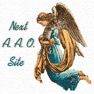 Next AAO Site