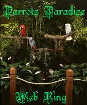 Parrots Paradise