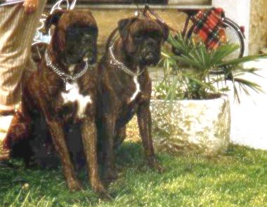 Major & Charli