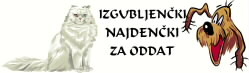 Izgubljene, najdene