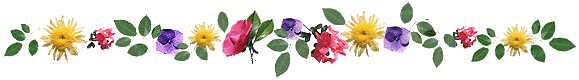flowerdivider.gif (13945 bytes)