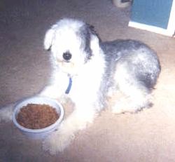 poopsieeating.jpg (8540 bytes)