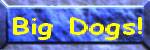 /user/bigdogsbutton1.jpg