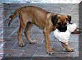 click for larger view