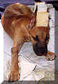 click for larger view