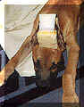 click for larger view