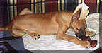 click for larger view