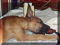 click for larger view