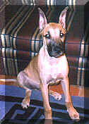 click for larger view