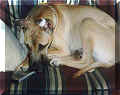 Click for a Larger View!