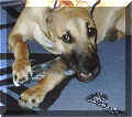 Click for a Larger View!