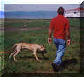 Click for a Larger View!