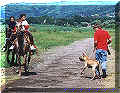 Click for a Larger View!