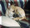 Click for a Larger View!
