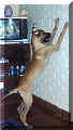 Click for a Larger View!